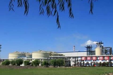 『隨華全，觀天下』 ——走進綏化